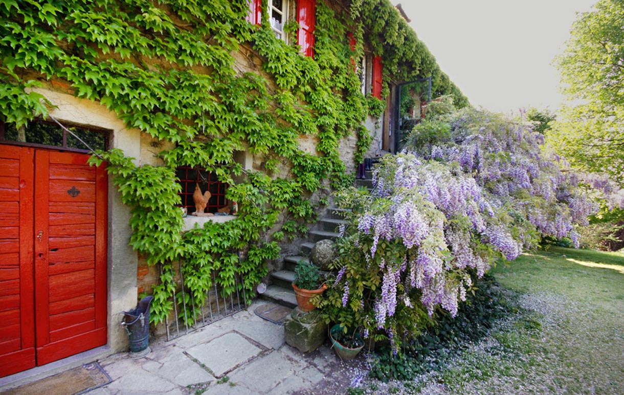 Fattoria "Montalbano