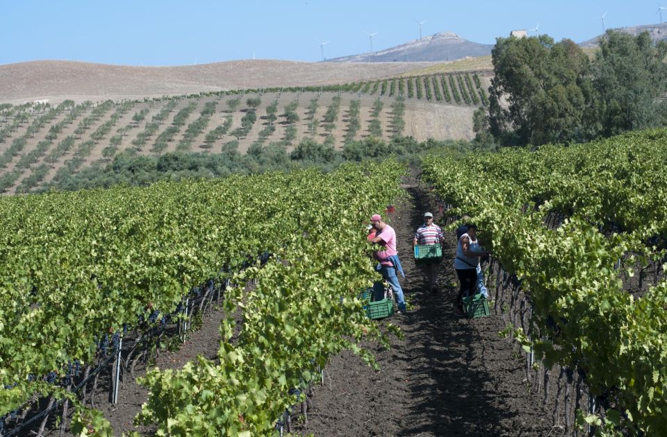 Valdibella cooperativa agricola