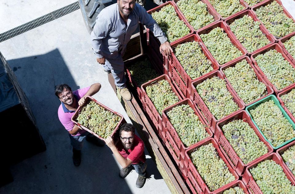Valdibella cooperativa agricola