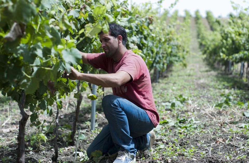 Valdibella cooperativa agricola